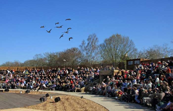 Parc des Oiseaux