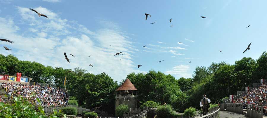 puydufou oiseaux900