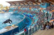 Marineland